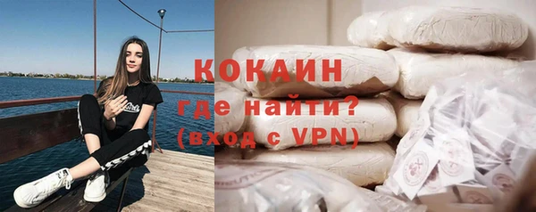 индика Лагань
