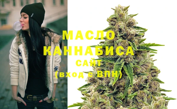 индика Лагань