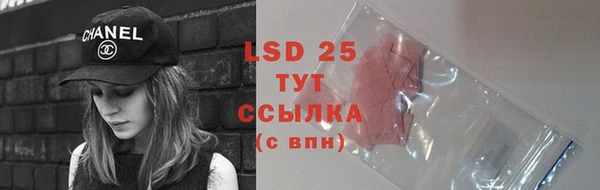 индика Лагань