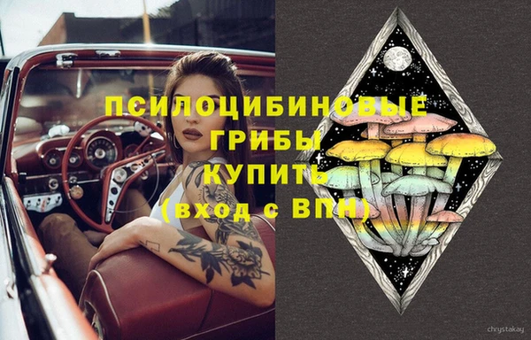 гидра Ладушкин