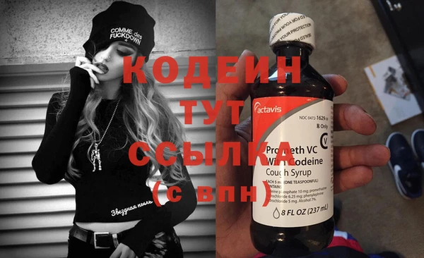 индика Лагань