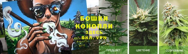прущие крисы Лабытнанги