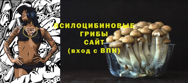 гидра Ладушкин