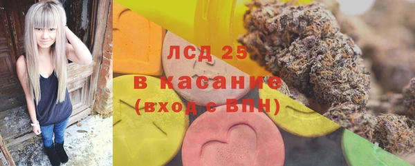 индика Лагань
