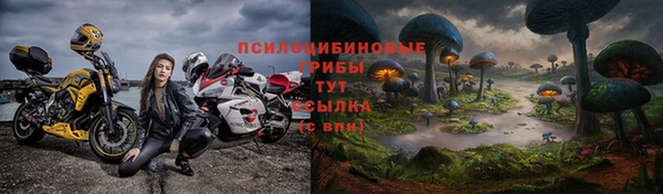 гидра Ладушкин