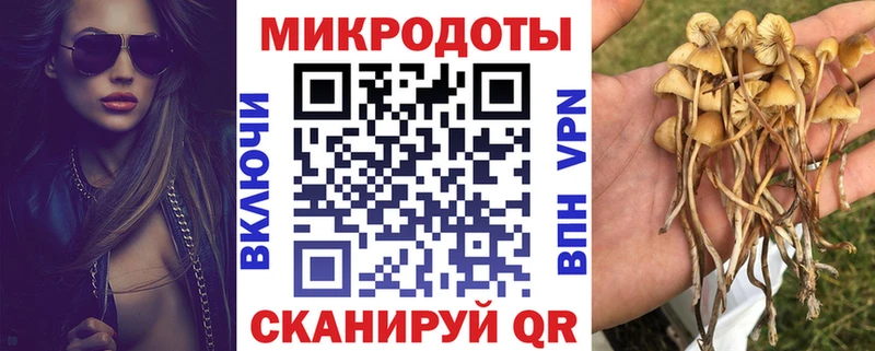 Псилоцибиновые грибы MAGIC MUSHROOMS  Купить  Демидов 